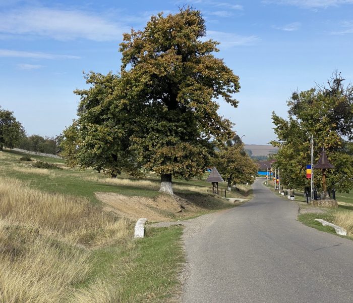 Tractari Auto in Mogosesti Iasi, disponibile non stop cu Traian TKD